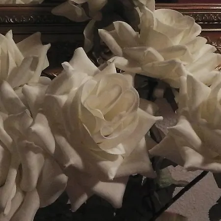 אורחן Vegadeo *