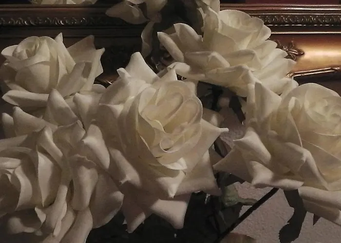 Мініготель Vegadeo *